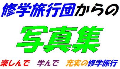 修学旅行団からの写真集