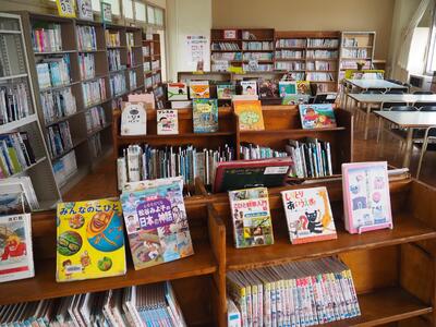 きれいに整理された図書棚