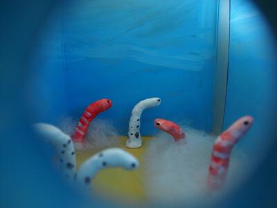 海の中の風景でしょうか　きれいです