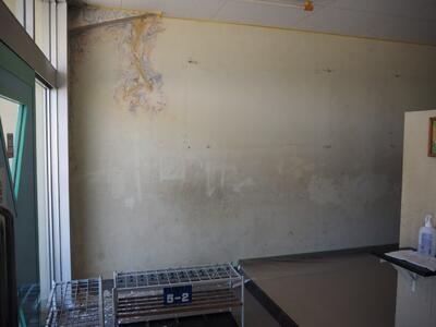 すっかりななめ上のほうは、黄色に変色してます