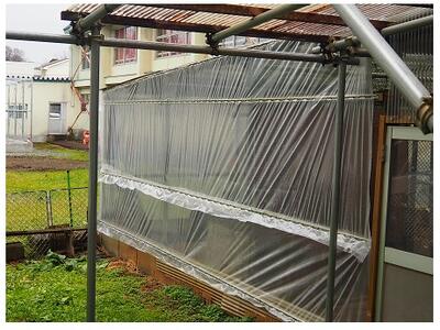 滝村さんがきれいに貼ってくれました。