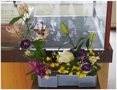 鮮やかな色合いです