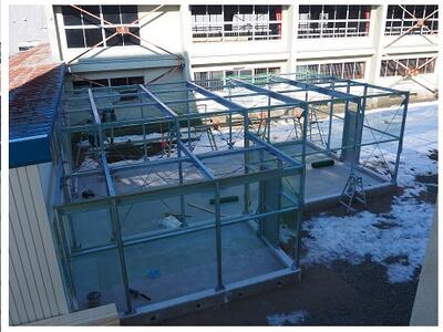 天井以外がぐるりと囲われました。やはり緑が定番です。