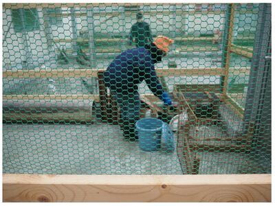 うさぎも無事お引越し