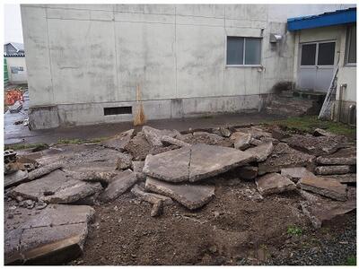 クジャクたちが見えていた窓からの景色は激変