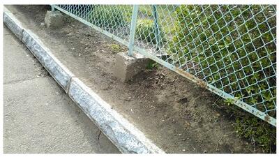 こんなにきれいにしてくださいました