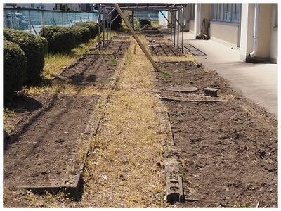 きれいに整地されて次は石灰をまくそうです