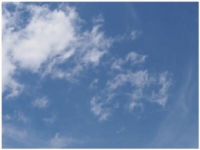 見上げると夏の空ですね