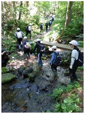 橋があるのに水の中へ