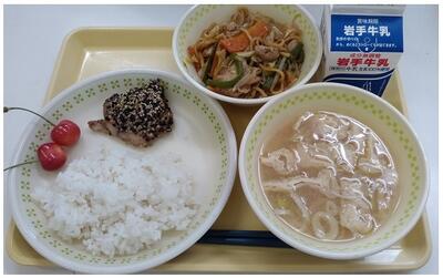 鶏肉も味噌汁もいいお味でした