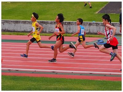５年男子８００ｍ