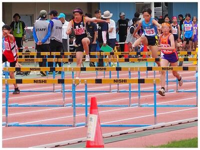 ６年女子８０ｍＨ