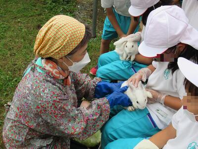 うさぎとの触れ合い活動