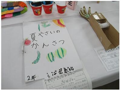 夏野菜の観察