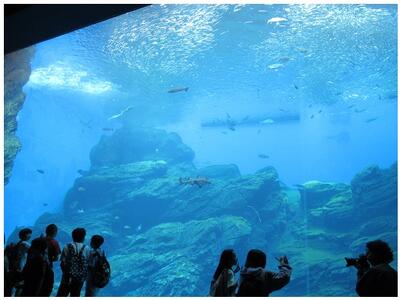 水族館