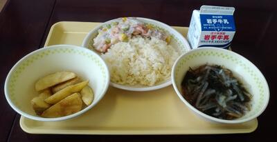 鮭がおいしそうにご飯に乗っています
