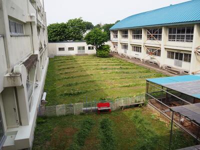 きれいにライン上に草が刈られた中庭