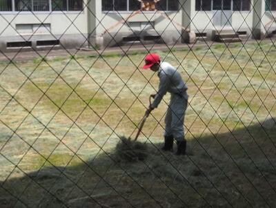 熱中症には気を付けて　ありがとうございます。